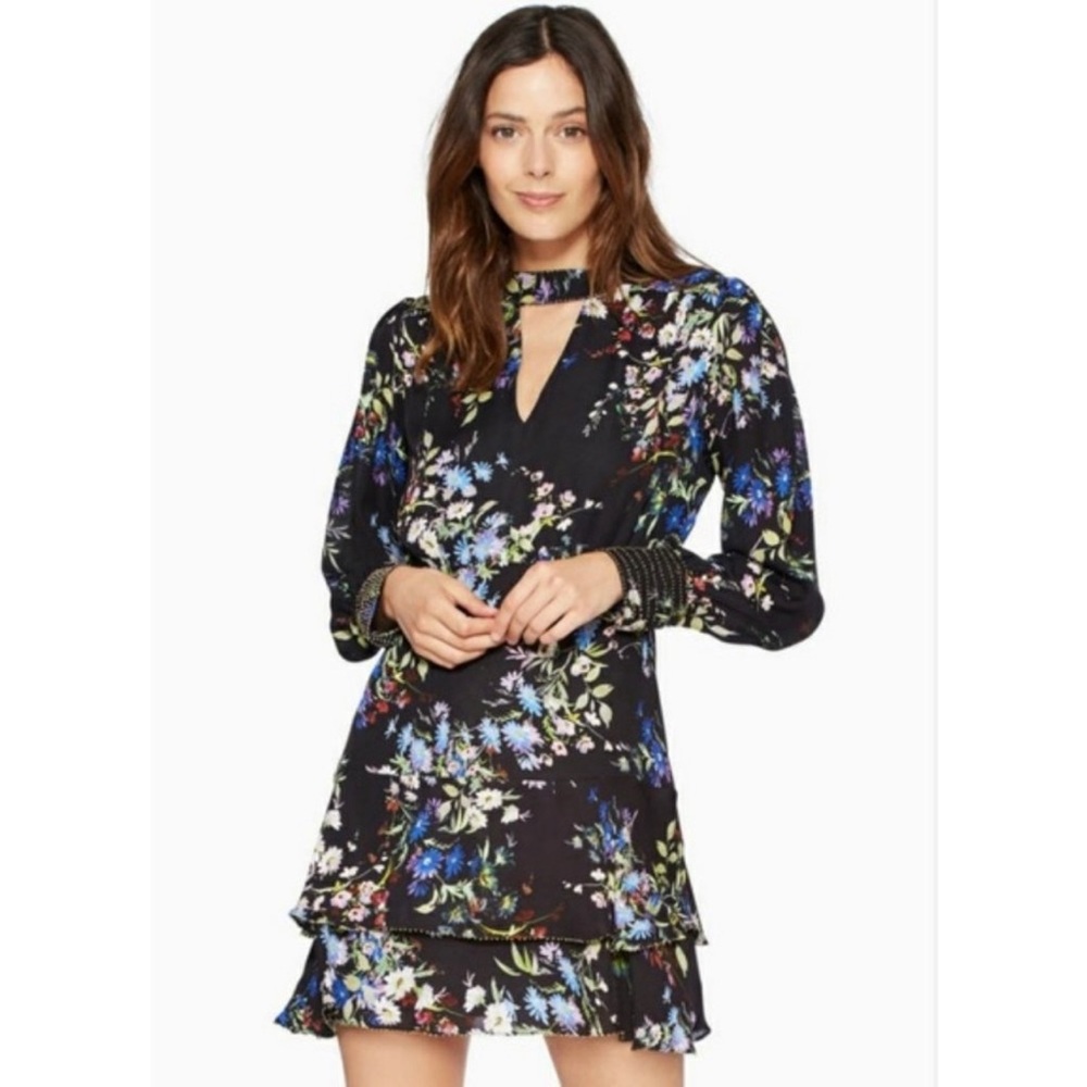 Parker Chrissy Ruffle Floral Dress Size 8 (fits like a 6)